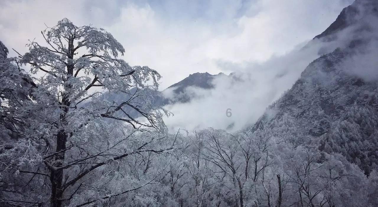 为什么手指甲会出现“竖纹”?可能和这4个原因有关,你需要了解
