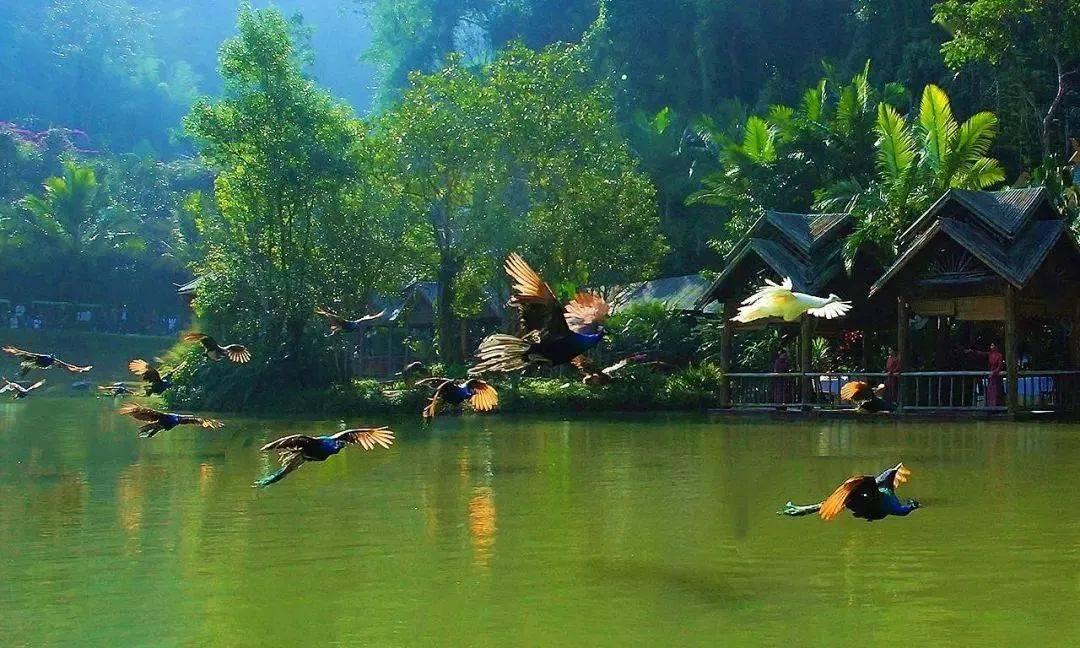 逃离危险禁地