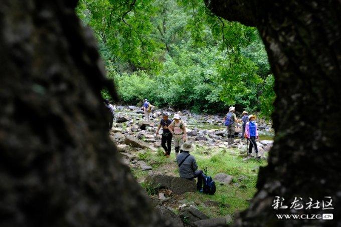 程秋雁代表:打破“数据孤岛” 加快推进数字重庆建设