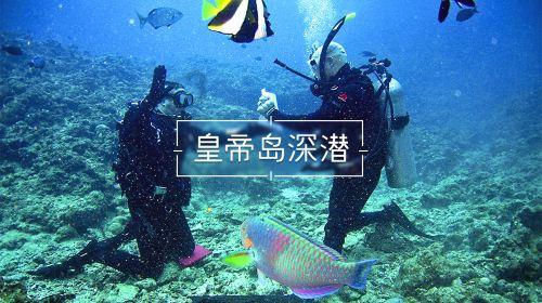学前教育如何选？游戏画面