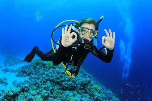 记者：伊格莱西亚斯将租借加盟勒沃库森，选择性买断条款800万