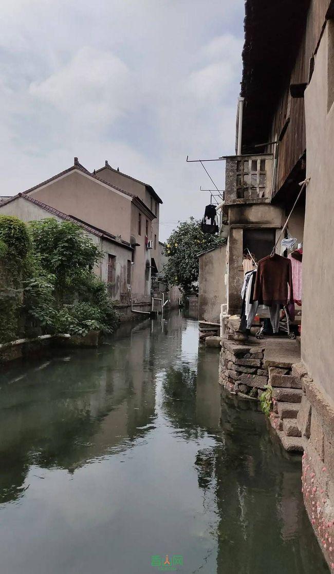 孤岛先锋